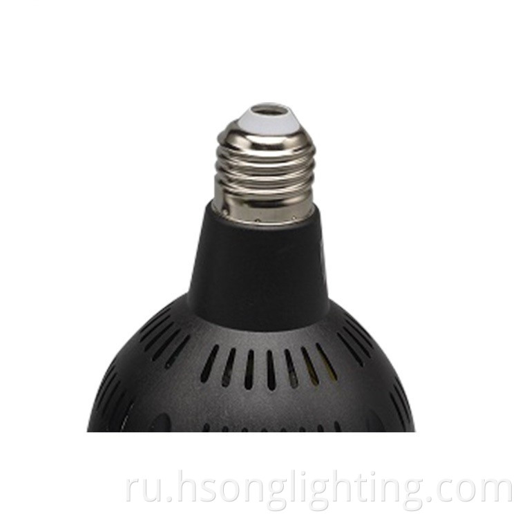 Hsong Hot Sell светодиодный PAR30 Light Indoor Aluminum SMD LAMP Light 30W
